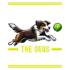 Flyball Sports canins