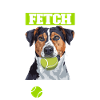Flyball Dog Sports
