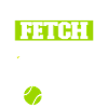 Flyball Dog Sports