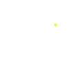Flyball Sports canins