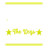 Flyball Dog Sports