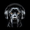 Labrador with Headphones Art Motif