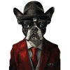 Boston Terrier