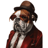 Englische Bulldogge