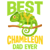 Cadeaux Caméléon