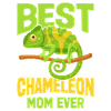 Cadeaux Caméléon