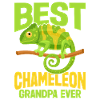 Cadeaux Caméléon