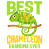 Chameleon Gifts