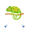 Chameleon Gifts