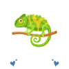 Cadeaux Caméléon