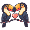 Toucan oiseau couple amour Saint-Valentin