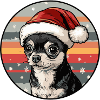 Chihuahua chien Noël Noël