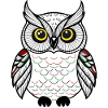cute owl