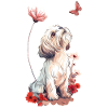 Shih Tzu and Butterfly