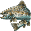 Saumon