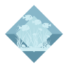 Aquarium Water