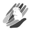 Souris rongeur