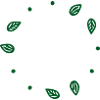 Leaves Frame
