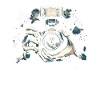 Photographe Photographie Photographe