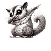 Kurzkopfgleitbeutler, Sugar Glider, Dabbing