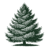 Sapin de Noël