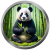 Panda Animal