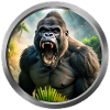 Gorilla Animal