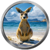 Kangaroo Animal
