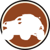 Autocross Car Racer