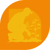 Gardening Hobby Gardeners Gardening