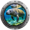 Manatee Animal
