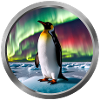 Penguin Animal