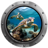 Sea Turtle Animal