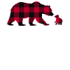 Uncle Bear