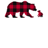 Grandma Bear