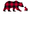 Nonna Bear