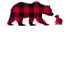 Great Grandma Bear
