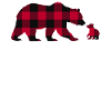 Daddy Bear