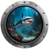 Shark Animal