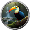 Toucan Animal