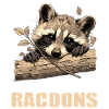 Waschbären Waschbär