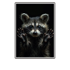 Waschbären Waschbär