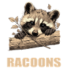 Waschbären Waschbär