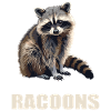 Raccoons Raccoon