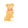 Golden Retriever Loves Me