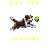 Flyball Dog Sports