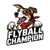 Flyball Dog Sports