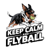 Flyball Dog Sports