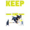 Flyball Sports canins