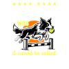Flyball Sports canins